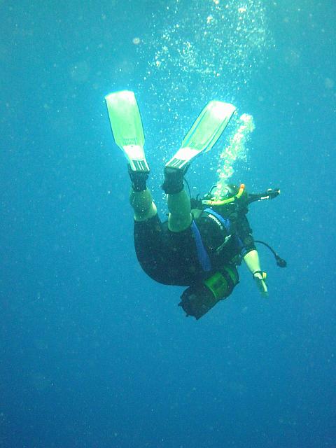 DSC00146.JPG