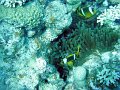 DSC00062