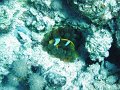 DSC00089