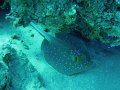 DSC00119