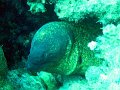 DSC00242