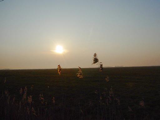 DSC00955.JPG