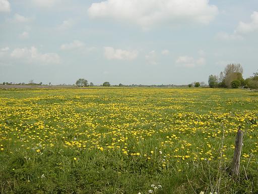 DSC01132.JPG