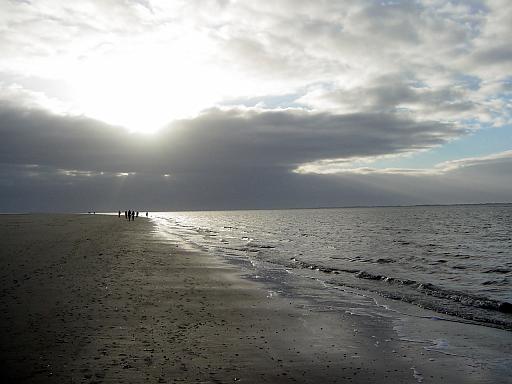 DSC01699.JPG