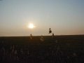 DSC00955
