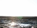 DSC01014