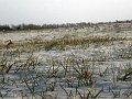 DSC01029