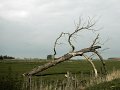 DSC01157
