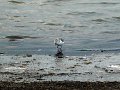 DSC01718