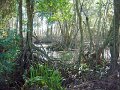 DSC02645