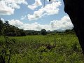 DSC02660