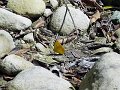 DSC02661