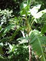 DSC02662