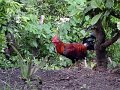 DSC02715