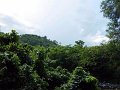 DSC02718