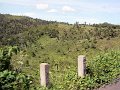 DSC02786