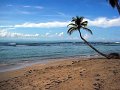 DSC02805