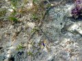 DSC02806
