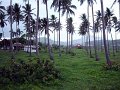 DSC02859