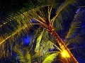 DSC02899