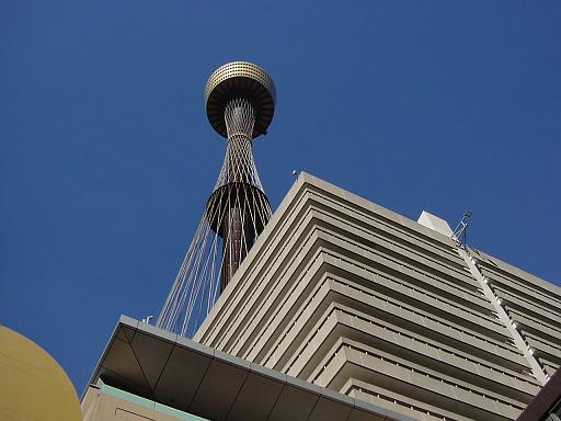 DSC02315.JPG