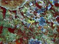 DSC01866