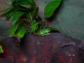 DSC02227