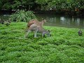 DSC02235