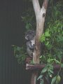 DSC02258