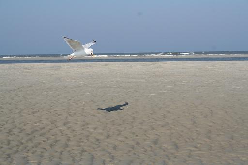 IMG_0309.JPG