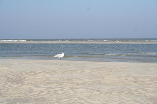 IMG_0310.JPG