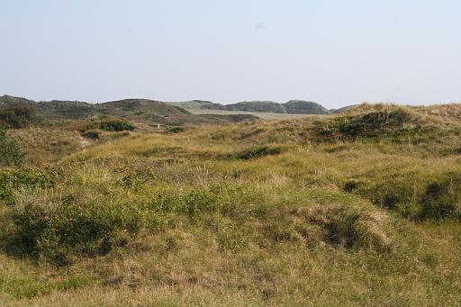 IMG_0479.JPG