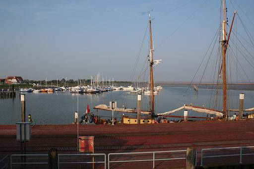 IMG_0483.JPG