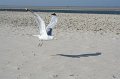 IMG_0316