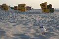 IMG_0324