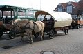 IMG_0460