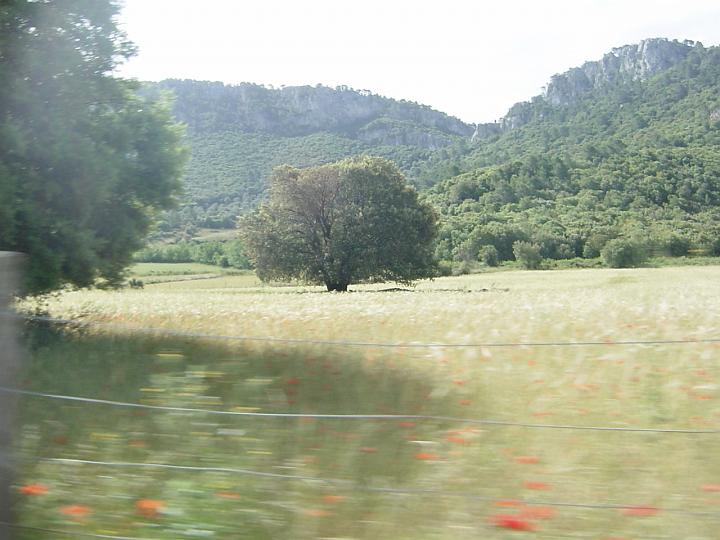 DSC04225.JPG