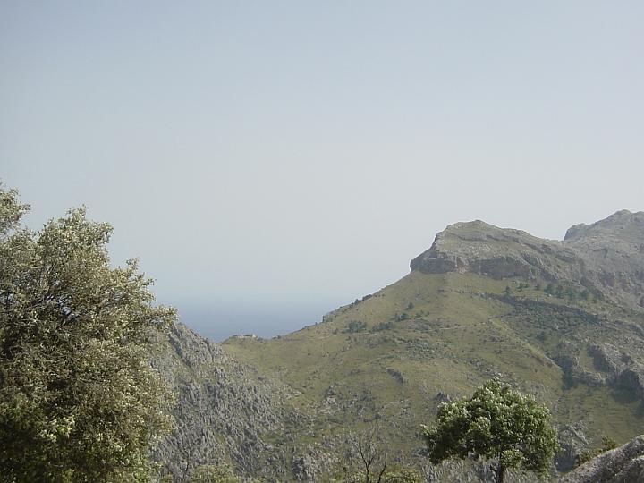 DSC04267.JPG