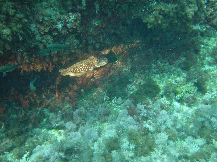 DSC04301.JPG