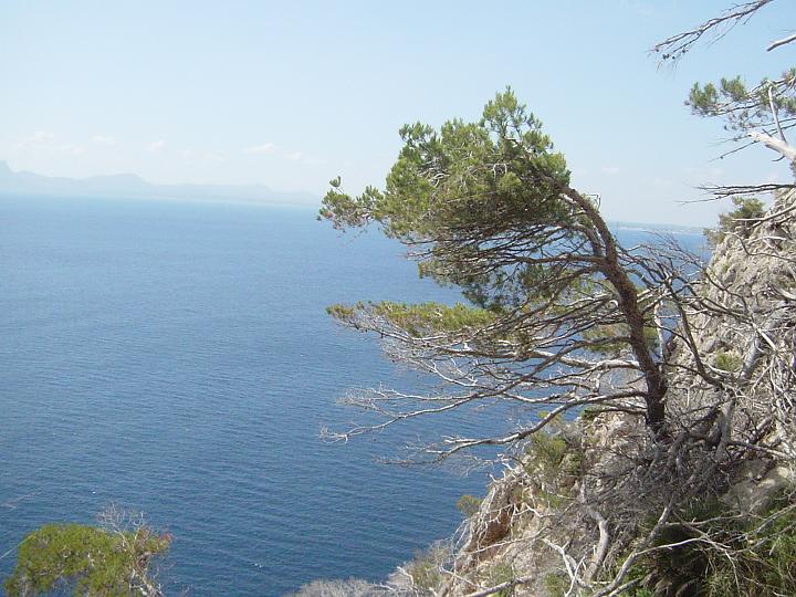 DSC04343.JPG