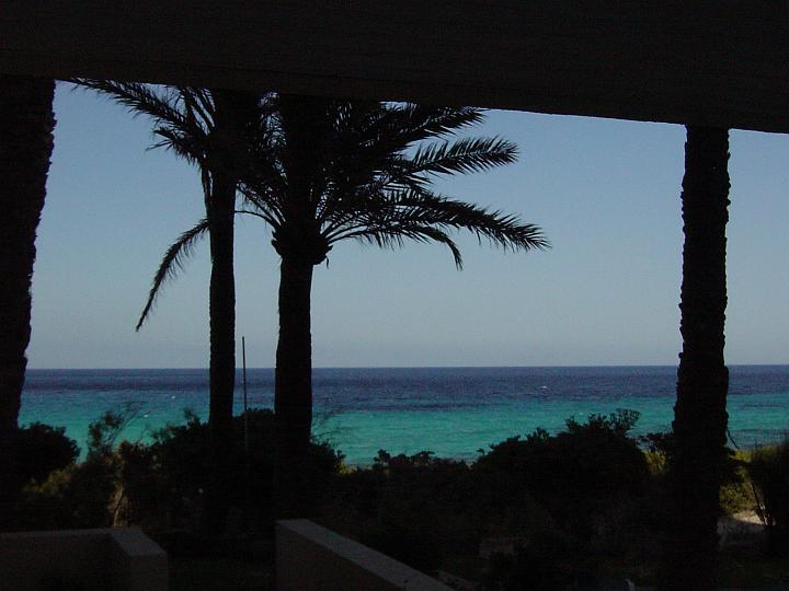DSC04370.JPG