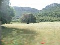 DSC04225