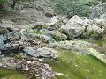 DSC04229