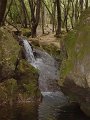 DSC04231