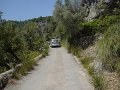 DSC04244