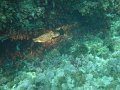 DSC04301