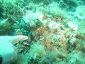DSC04318