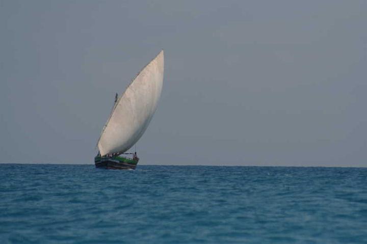 IMG_8595.JPG