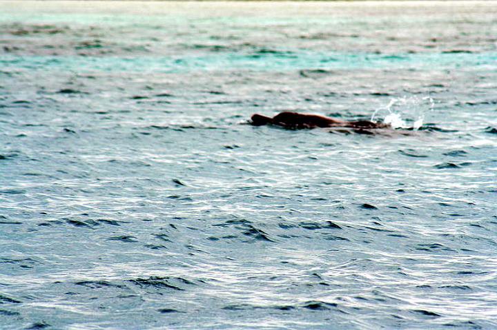 IMG_8637.JPG