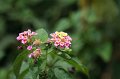IMG_8427